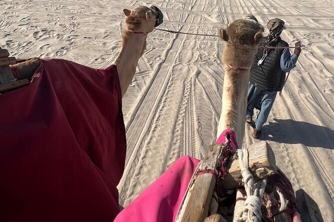 Doha Qatar ATV Quad Bike Buggy Dune Bashing and Camel Ride - Camel ride with tea and a Bedouin-tent pause: the calm break
