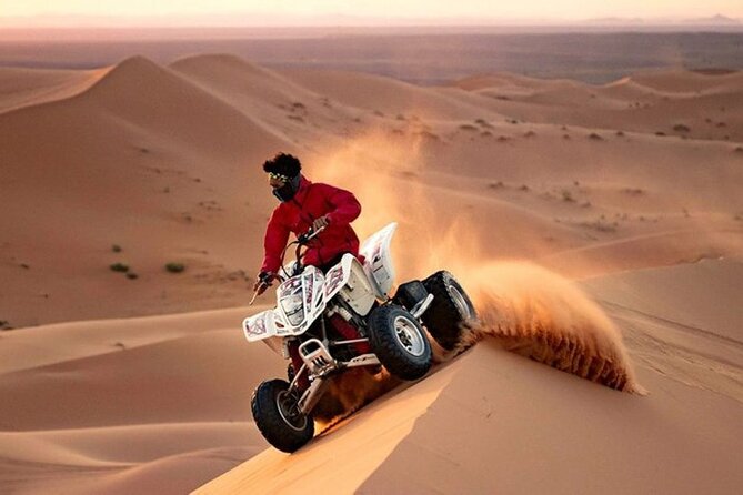 Doha Qatar ATV, Quad Or Buggy, DuneBashing,CamelRide,Sandboarding - Key Highlights You’ll Actually Feel
