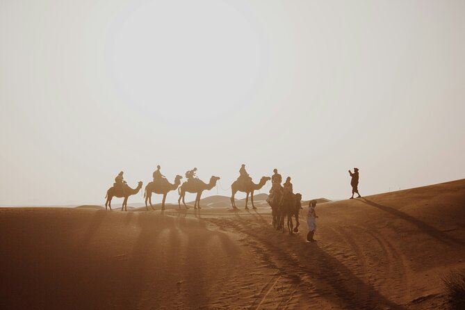 Doha Quad Bike, Dune Bashing, Camel Ride and Island Sea Tour - Why This Doha Quad Bike and Inland Sea Mix Works