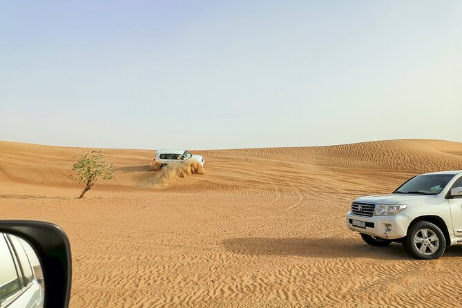 Doha Quad Bike, Dune Bashing, Camel Ride and Island Sea Tour - What Quad Bike Time Feels Like on This Track System