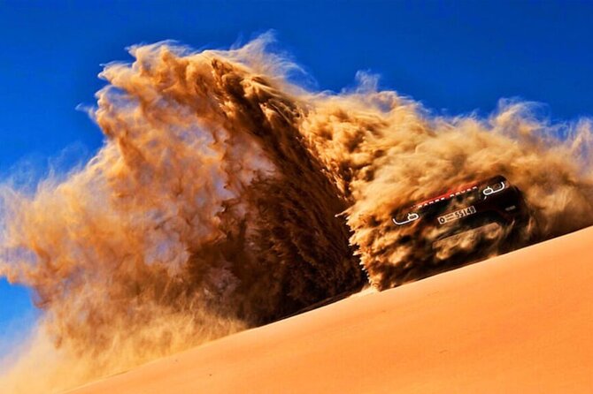Doha Quad Bike, Dune Bashing, Camel Ride and Island Sea Tour - Price and Value: What $100 Buys You in Real Time