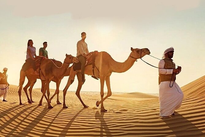 Doha Quad Bike, Dune Bashing, Camel Ride and Island Sea Tour - Quad Bike Track Rules vs Real Dune Driving (Read This First)