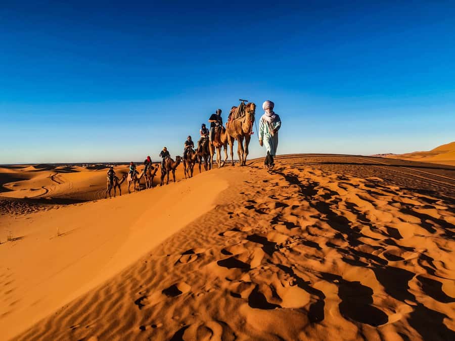 Doha: Quad Bike, Dune Bashing, Camel Ride & Inland Sea Tour - Practical stuff that keeps the day smooth