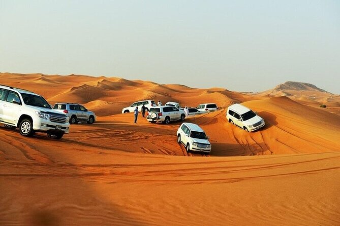 Doha: Quad Bike, Dune Bashing, Camel Ride & Inland Sea Tour - Bedouin-style animal time: camels, falcons, tea, and the camel-ride reality