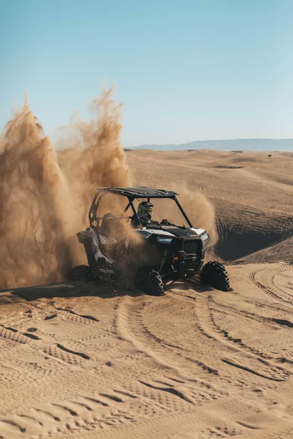 Doha: Quad Bike, Dune Bashing, Camel Ride & Inland Sea Tour - Sandboarding: quick, physical, and very photogenic