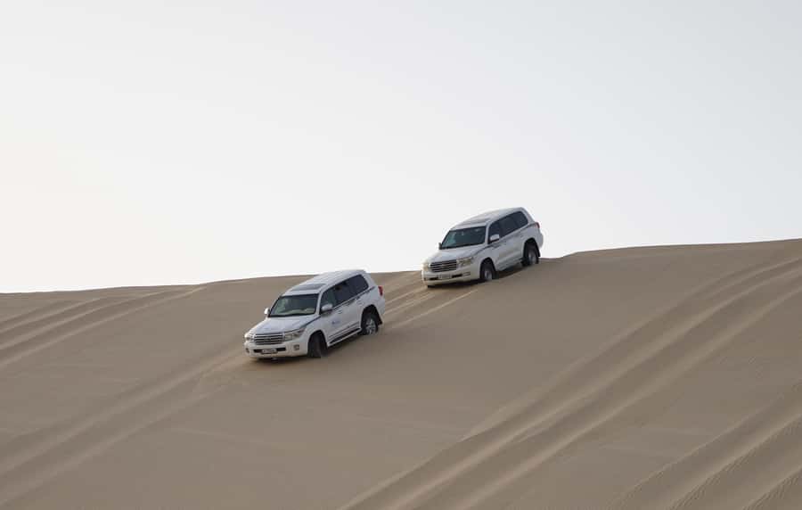 Doha: Safari, ATV, Camels, Sandboarding and Inland Sea Tour - Dune Bashing in Doha’s Desert: How the Ride Really Feels