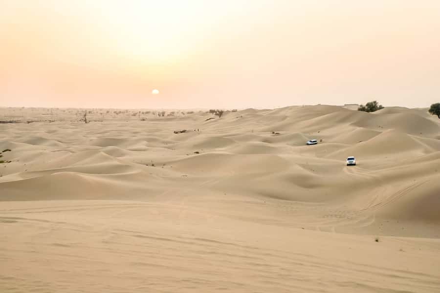 Doha: Safari, ATV, Camels, Sandboarding and Inland Sea Tour - Guides Make the Difference: Driving, Humor, and Photo Moments