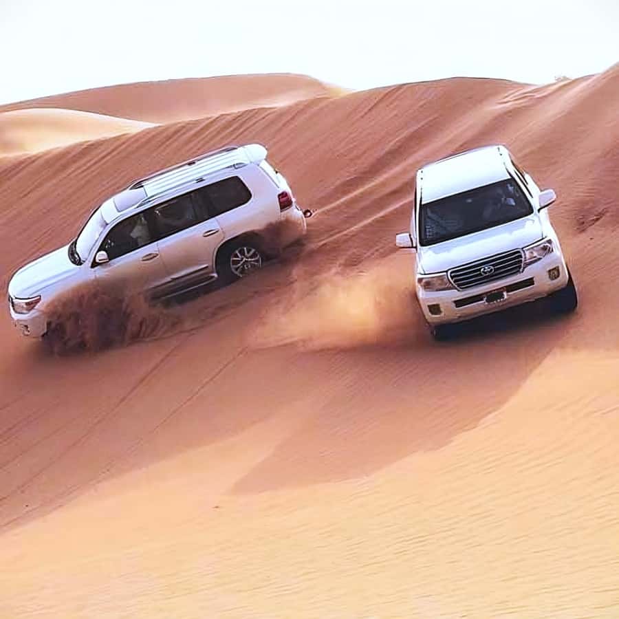 Doha Safari: ATV Ride, Dune Bashing, & Sandboarding Fun - Price and Value: Is $55 a Good Deal in Doha?