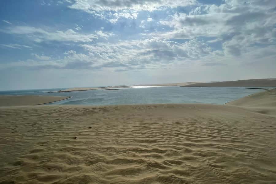 Doha Safari: ATV Ride, Dune Bashing, & Sandboarding Fun - Who Should Book This Safari (and Who Should Skip It)