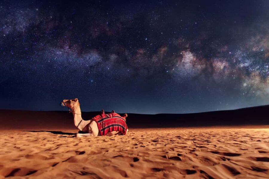 Doha: Sunset Desert Safari, ATV, Camel Ride and Sandboarding - The 5-hour flow: how the day actually feels in motion