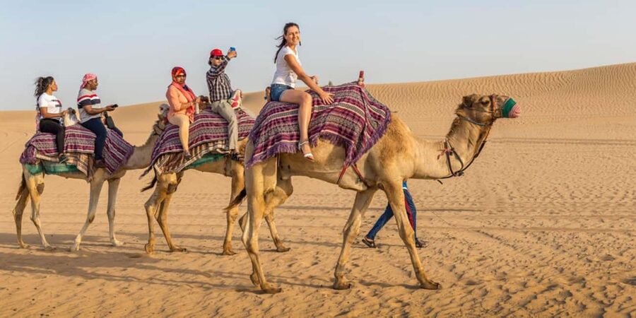 Doha: Sunset Desert Safari, ATV, Camel Ride and Sandboarding - Practical tips that make this tour better