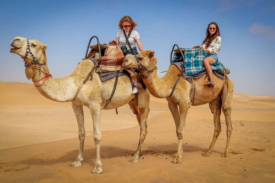Doha: Sunset Desert Safari, ATV, Camel Ride and Sandboarding - FAQ