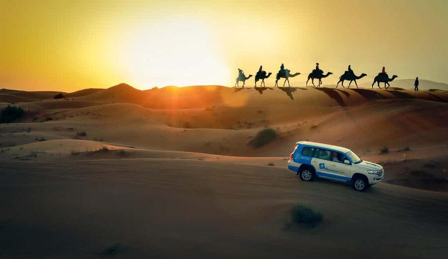 Doha: Sunset Desert Safari, ATV, Camel Ride and Sandboarding - What’s included (and what you should budget for)