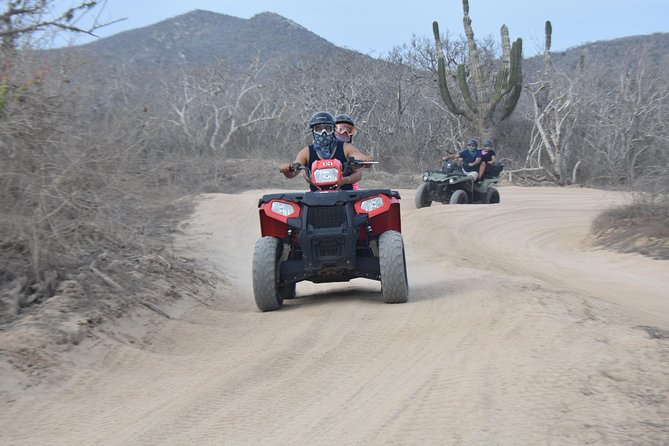 Double ATV Migriño Beach & Desert - Should You Book the Double ATV Migriño & Desert Tour?