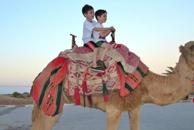 Dubai 30 Mins Quad Bike Desert Drive & Safari - Morning - Pickup to red dunes: hotel transport and how you start safely