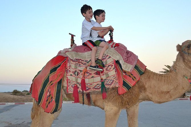 Dubai 30 Mins Quad Bike Desert Drive & Safari - Morning - Pickup to red dunes: hotel transport and how you start safely