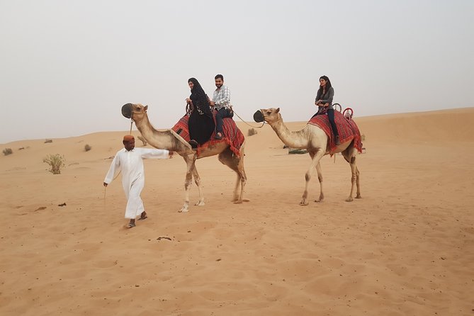 Dubai 4x4 Desert Safari, Quad Bike, Camel Ride & BBQ Dinner - Al Royal Desert Camp Shows: Fire, Tanoura, and Belly Dance