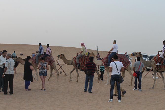 Dubai: Buggy Dune Bashing, Sand Boarding, Camel Ride & Show - Safety briefing and warm-up: the part that prevents misery
