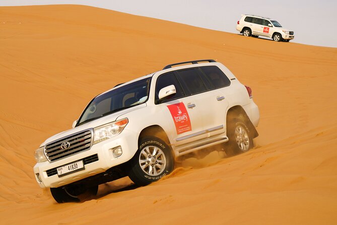 Dubai Buggy Tour in red sands and Desert Safari - Who should book this and who should skip it