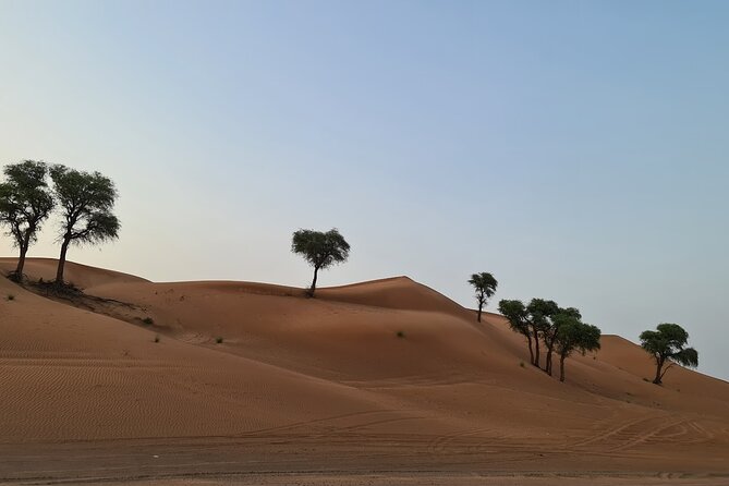 Dubai Desert 4x4 Dune Bashing, Self-Ride 30min ATV Quad, Camel Ride,Shows,Dinner - Dinner Under the Stars: BBQ Buffet Plus the Show Schedule