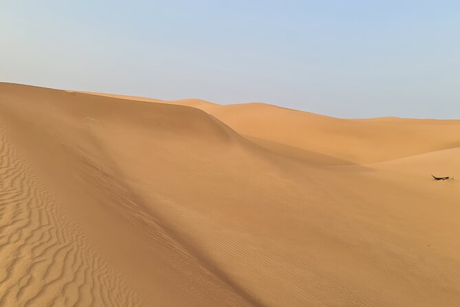 Dubai Desert 4x4 Dune Bashing, Self-Ride 30min ATV Quad, Camel Ride,Shows,Dinner - Who This Safari Fits Best (and Who Might Prefer Something Else)