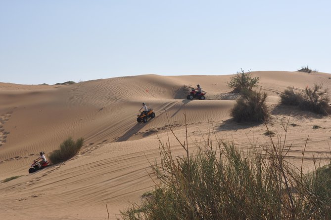 Dubai Desert Afternoon Quad Safari with Camel Ride, BBQ Dinner and Belly Dancing - Key takeaways before you go
