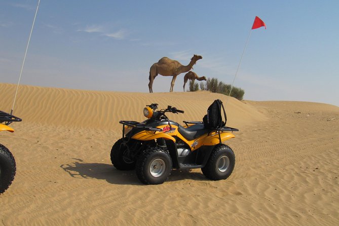 Dubai Desert Afternoon Quad Safari with Camel Ride, BBQ Dinner and Belly Dancing - Camel farm stop: a quick ride with photo value (and one handling note)