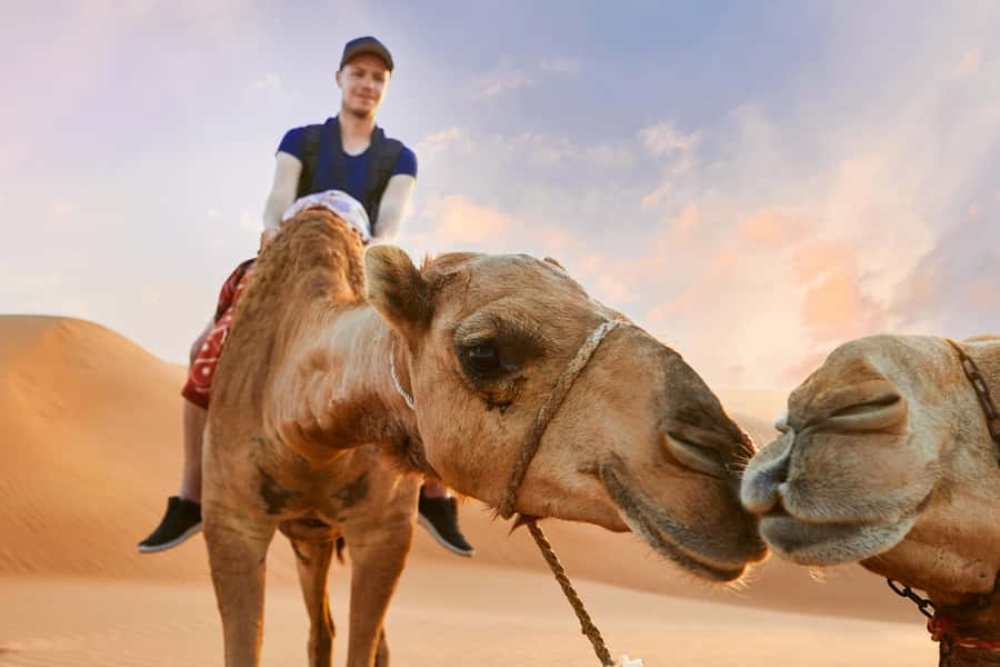 Dubai Desert Safari - Camel Ride, Sandboarding & 30 Min Quad - Optional Quad Biking: Guided Self-Drive for Ages 15+