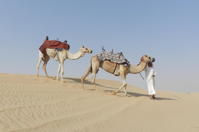 Dubai Desert Safari Dune Bashing, 60min ATV Quad, Camel Ride, BBQ - Bedouin at Majlis camp: dinner, shows, and activities
