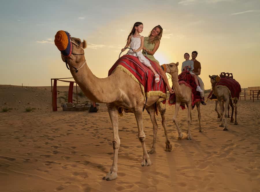 Dubai: Desert Safari, Quad Bike & Premium Camp Experience - Key highlights that make this safari feel worth it