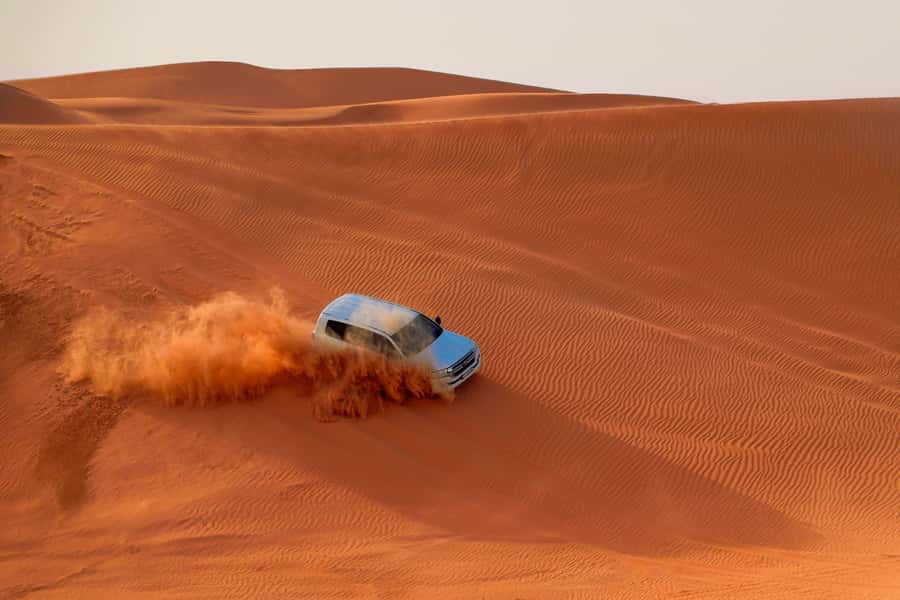 Dubai: Desert Safari, Quad Bike, Sandboarding, Camels & BBQ - Tire-Pressure Stop and Falcon Photos: Small Moment, Big Difference