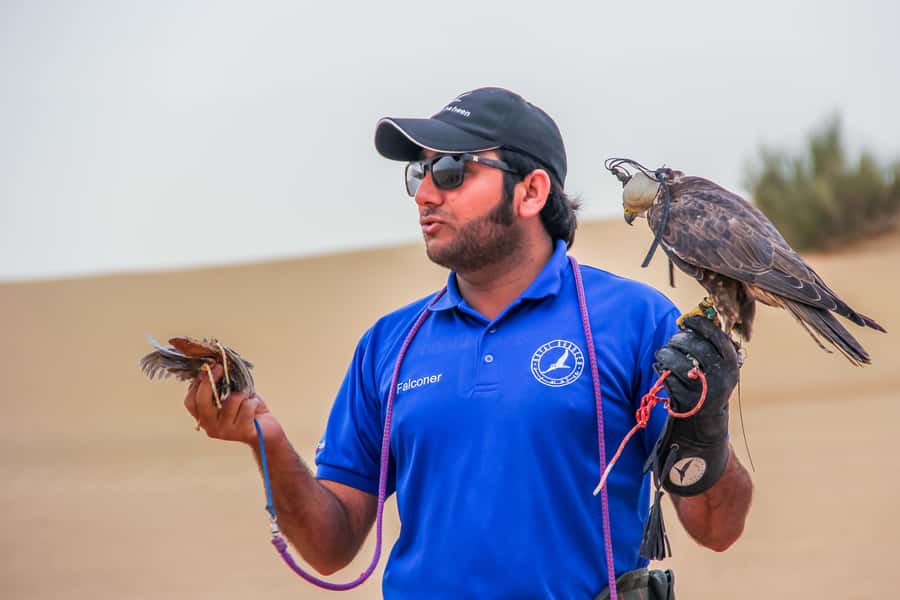 Dubai Desert Safari, Quad Biking, Camel Ride, & Sandboarding - Sunset and the Evening Show: What You’ll See After Dark