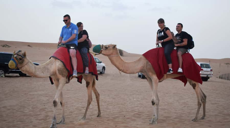 Dubai Desert Safari, Quad Biking, Camel Ride, & Sandboarding - BBQ Dinner: Filling Food After a Busy Afternoon