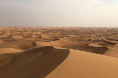 Dubai Desert Safari Sharing with Quad, Shows, Camel and Dinner - Quad Bike ATV: The 30 Minutes You Should Plan Around