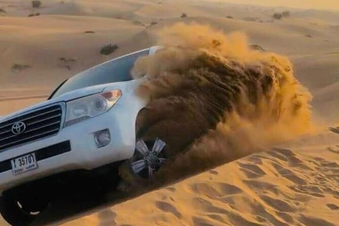 Dubai Desert Safari with Quad Bike, Camel Ride, Dinner and Shows - The Guides: Why Ali, Ajmal, Hassan, and Others Matter
