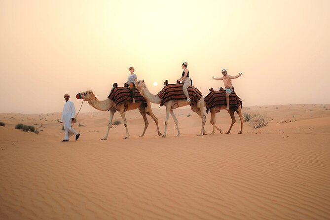 Dubai Desert Safari with Quad Biking - BBQ Buffet Dinner: What You’ll Get and What Could Feel Crowded