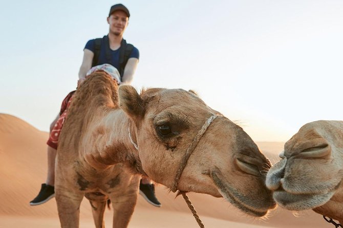Dubai Desert Trail: Guided Quad/Polaris ATV & Red Dunes Safari - Safety briefing, headgear, and the indemnity reality check