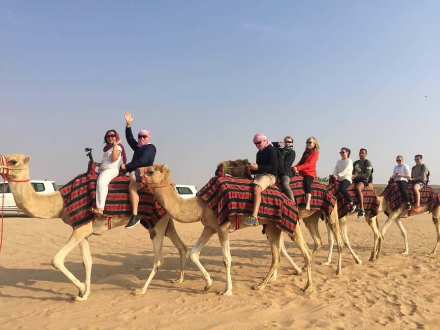 Dubai: Dune Quad Drive, Camels And Sand Boarding - Who This Tour Suits Best (and Who Should Skip It)