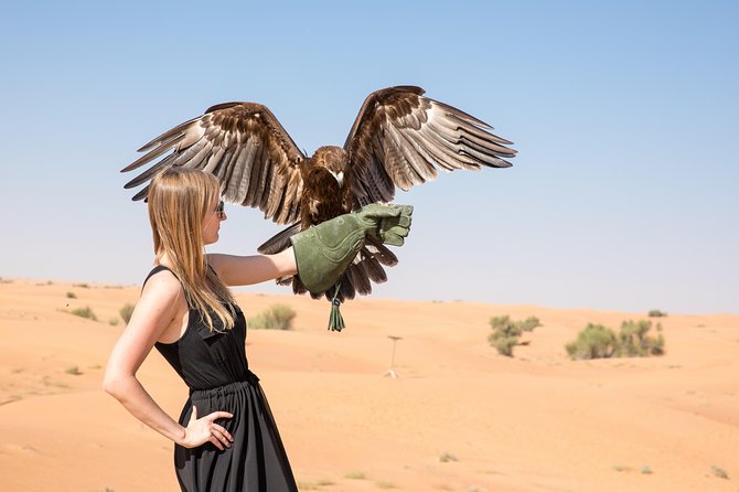 Dubai Evening Desert Safari with ATV Quad Bike & Dinner - The Big Picture: A Complete Dubai Desert Evening