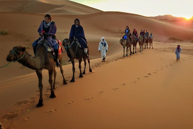 Dubai Evening Desert Safari with ATV Quad Bike & Dinner - Sunset Photos and Sandboarding Slides