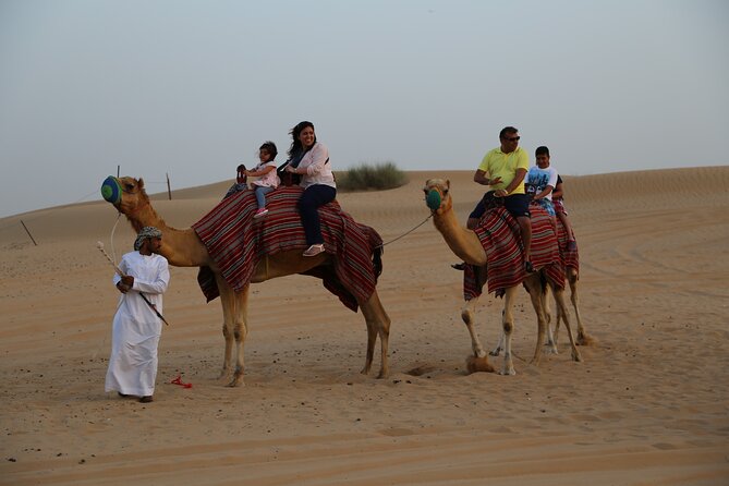 Dubai Evening Desert Safari with Thrilling Dune Buggy Adventure - BBQ buffet and the night’s live show (belly dance to Tanoura)