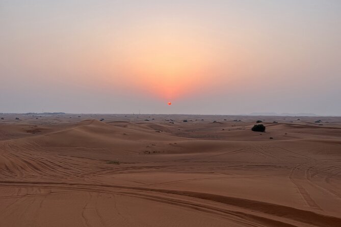 Dubai Evening Red Dune Safari With 30 Mins ATV, BBQ, Live Shows - Camp Arrival: Tea, Dates, and the VIP Lounge Option
