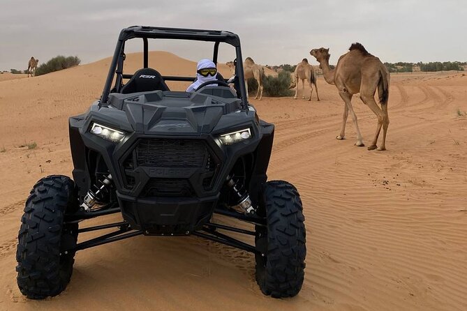 Dubai: Extreme Red Dune Buggy Desert Safari Adventure - Who Should Book This Safari?