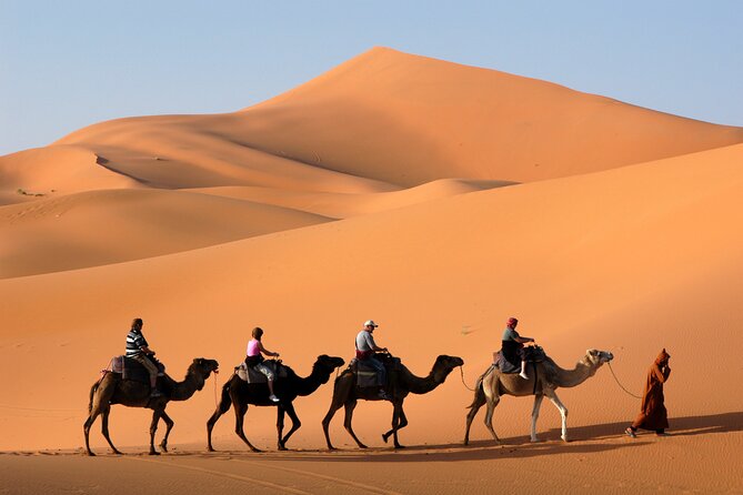 Dubai Morning Desert Safari with Quad Bike sharing Car - Quick, Worth-Know Highlights for Your Sunrise Safari