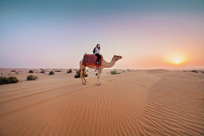 Dubai Morning Safari: Quad Biking, Sandboarding & Camel Ride! - Why this morning Dubai safari beats the later desert trips