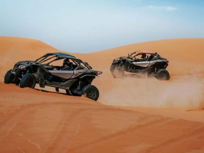 Dubai: Quad Bike or Dune Buggy Adventure & Optional Transfer - Choose Your Ride: 250cc/320cc Quads or a 1000cc Dune Buggy