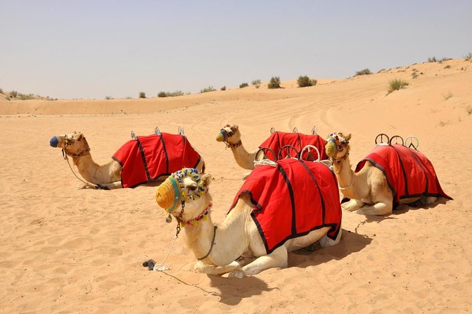 Dubai Quad Biking with Desert Safari - Thrilling ATV Ride Dubai - Quick Hits Before You Go