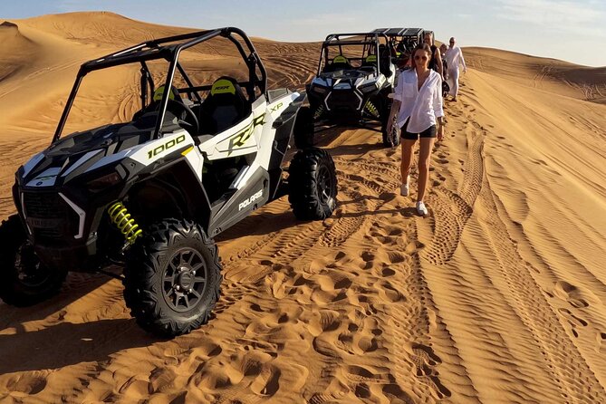 Dubai Red Dune Desert Safari, Buggy Ride & BBQ Buffet Dinner - Who Should Book This Dubai Red Dune Safari (and Who Should Skip It)