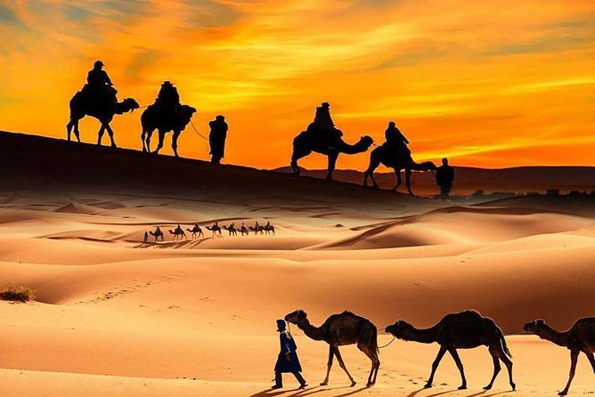 Dubai Red Dune Safari, ATV Quadbiking 10 mins, BBQ, shows - Quick Takeaways