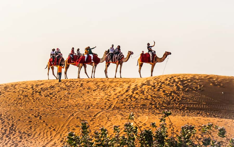Dubai: Red Dune Safari, Quad Bike, Camel Ride, BBQ Dinner - Sandboarding on the dunes: fun, simple, and very photogenic